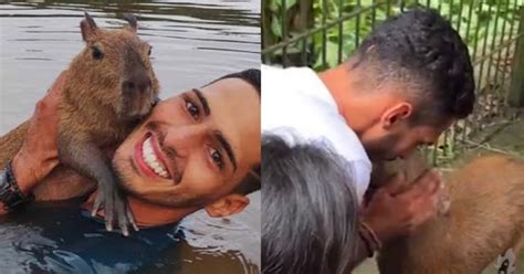 Capivara Fil Devolvida A Influencer Do Am Ap S Decis O Judicial