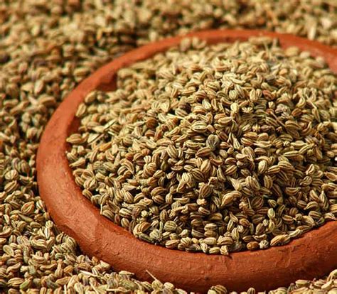 Ajwain Seeds – Amiras Agro and Foods