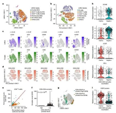 Nat Methods 定量单细胞的细胞外蛋白、蛋白复合物和mrna 知乎