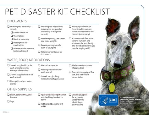 June Is National Pet Preparedness Month