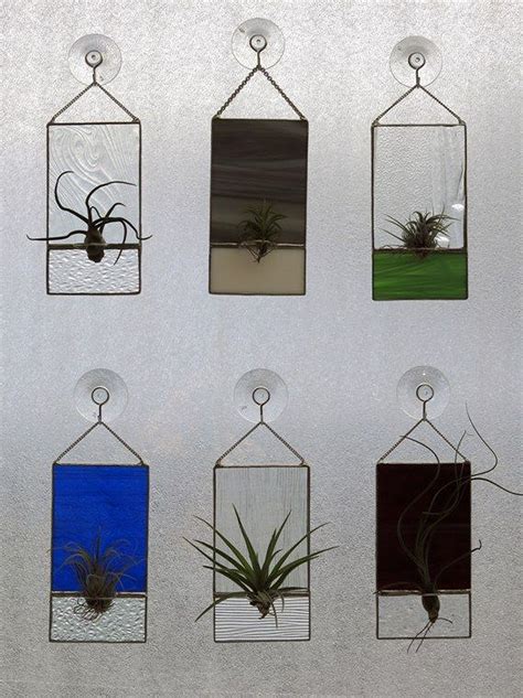 Air Plant Terrarium Kit And Stained Glass Inspiration 28 Stained