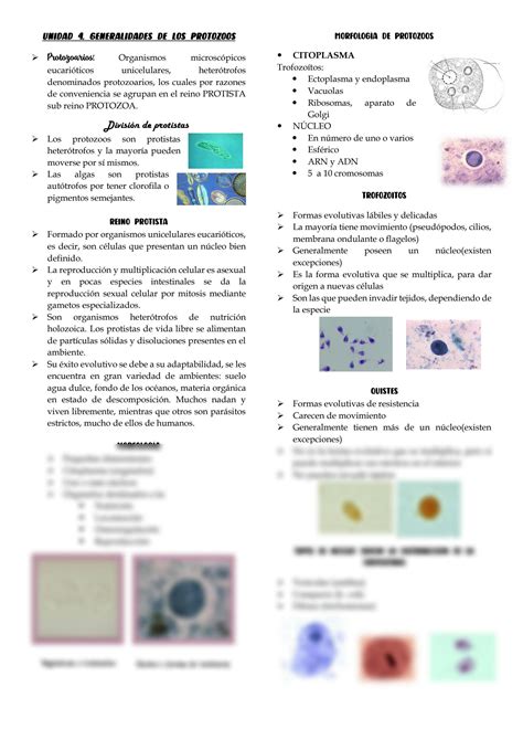 Solution Parasitolog A Generalidades De Protozoloog A Studypool