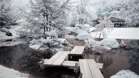 Montreal's Botanical Garden Reopened Its Winter Paths On December 17 - MTL Blog