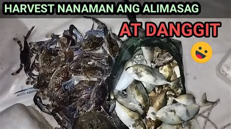 PAG HAHARVEST NG CRAB AT DANGGIT CATCH COOK PART1 YouTube