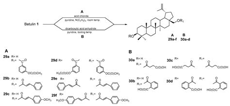 Pharmaceutics Free Full Text Synthesis Pharmacological Properties