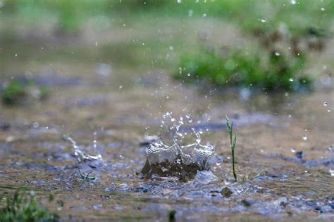 Le Cher Plac En Vigilance Jaune Pluie Inondation Dans La Nuit De