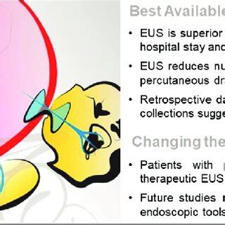 Eus Guided Pancreatic Fluid Collection Drainage A Endosonographic