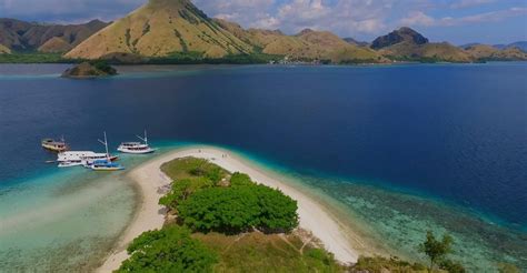 Kalong Island Dtour Komodo Travel