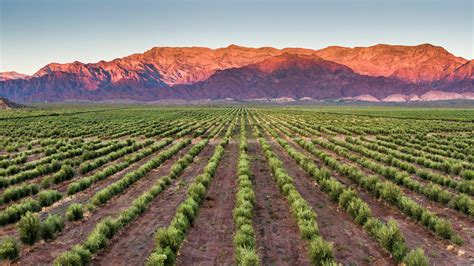 Montañas Viñedos Y Paz Cómo Es El Paraíso Cordillerano Que Eligen