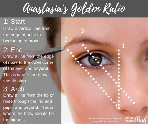 Ultimate Guide To Brows Brows Tinted Brow Gel Clear Mascara