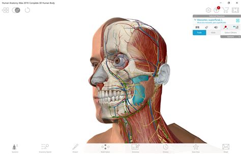 Human Anatomy Atlas 2019: Complete 3D Human Body by ‪Visible Body ...