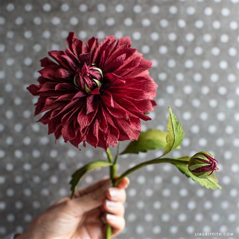 October Member Make Crepe Paper Dahlia Flower Lia Griffith