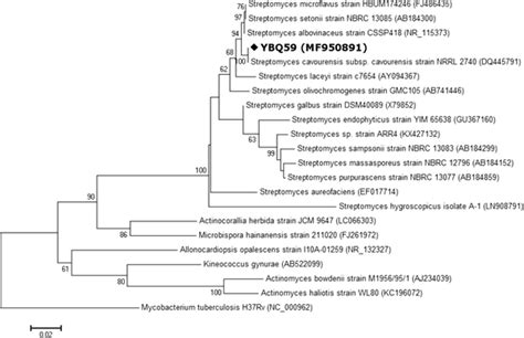 Maximum Likelihood Phylogenetic Tree Based On Relative 16s Rrna Gene