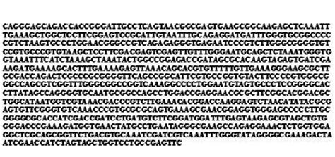 Amplified Nucleotide Sequence Of ITS1 5 8S ITS2 Region Of 18s RRNA Gene