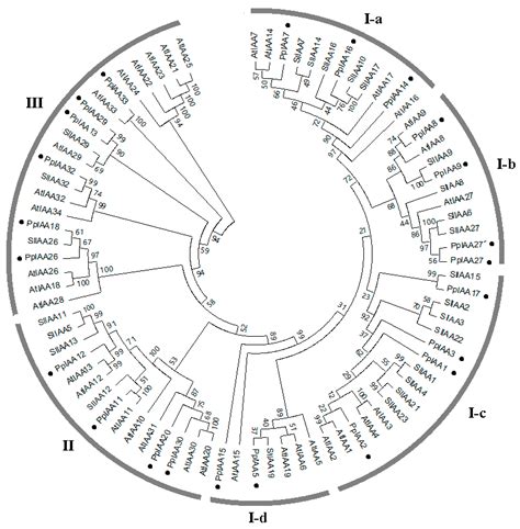 Ijms Free Full Text Genome Wide Analysis And Identification Of The