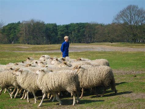 Natuurpoort De Plaetse Regioradar Eindhoven