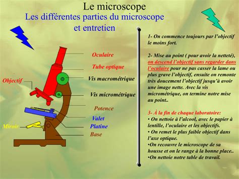 Les Diff Rentes Parties Du Microscope