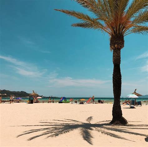 Sand Beaches in Alcúdia - BeachAtlas