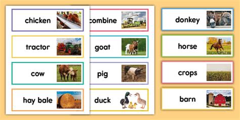 Farm Word Cards Teacher Made Twinkl