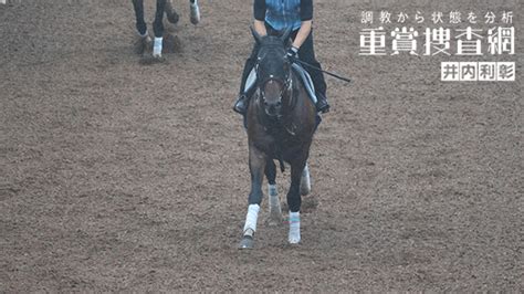 【七夕賞 2024】最終追い切りを動画で解説井内利彰 競馬動画 Netkeiba