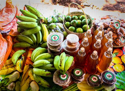 Produtos Produzidos Na Cidade - Produtos da agricultura familiar produzidos em quilombo do Piauí são ...