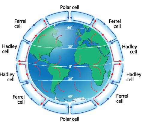 Global atmospheric circulation - Terra Explained