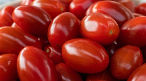 Cuánto cuesta el kilo de tomate Conoce los precios actualizados a