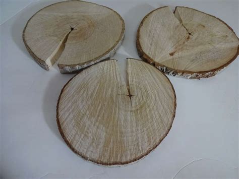 Rodajas De Madera Cm D X Cm Grosor Gla De Roure