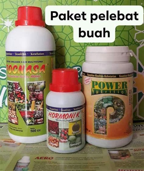 Pupuk Pelebat Buah Perkebunan Di Carousell