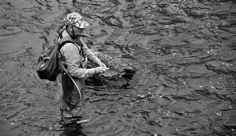 Best Waist High Waders For Fly Fishing Top Models Ranked Diy Fly