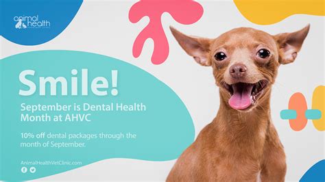 September Is Dental Health Month Animal Health Veterinary Clinic