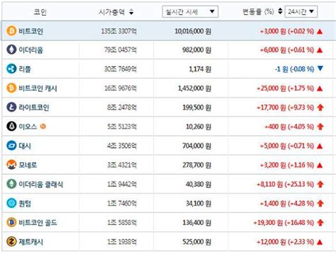 비트코인 1000만원선 유지국내 시세 6 비싸 조선비즈