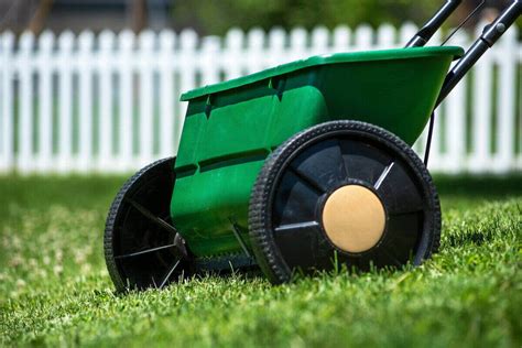 How To Overseed A Lawn In Simple Steps