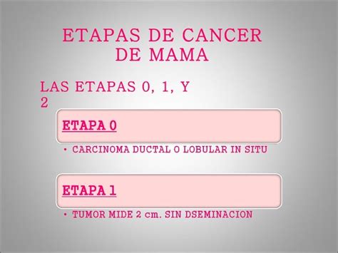 Etapas Del Cancer De Mama - SEONegativo.com