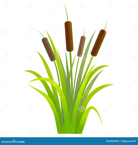 Cattails Cartoons, Illustrations & Vector Stock Images - 78 Pictures to ...