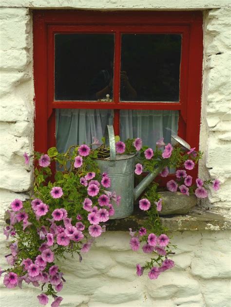 C Mo Decorar Una Ventana Con Plantas Gu A De Jard N