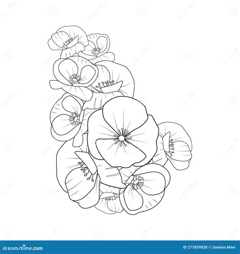 poppy flower drawing