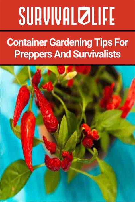 The Cover Of Survival Life Container Gardening Tips For Preppers And