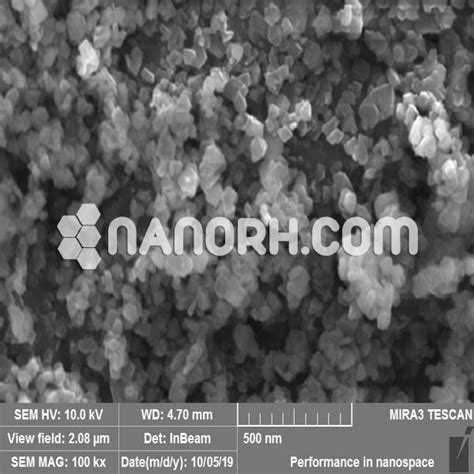 Bioactive Glass Nanoparticles Nanorh