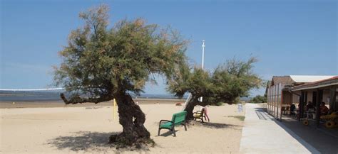 Gujan Mestras Plage De La Hume Handiplus Nouvelle Aquitaine