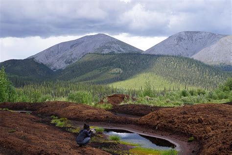 Secrets of the permafrost: New U of T research reveals evidence of ...