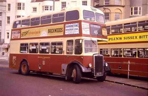 Brighton Corporation Transport Bus 73 Leyland PD2 Weymann 1964 Bus