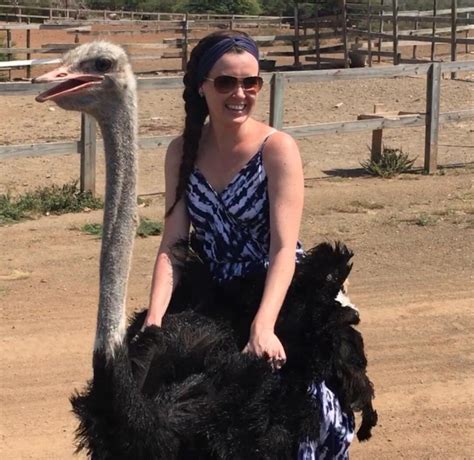 JacksonJournal.News | Could You Have A Pet Ostrich?