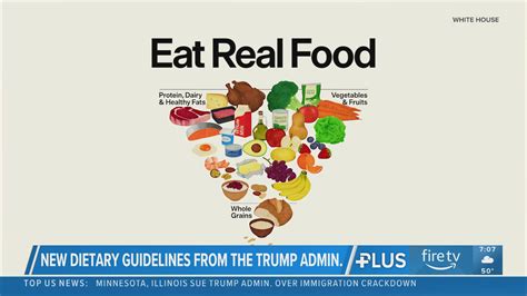 nutrition expert weighs    food pyramid federal dietary