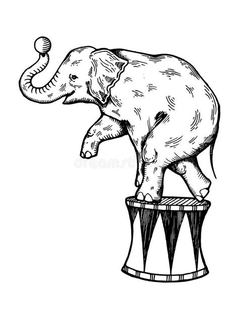 Circus Elephant Stock Illustrations 6 610 Circus Elephant Stock Illustrations Vectors