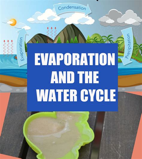 Evaporation and the Water Cycle | Kids learning activities, Fun ...