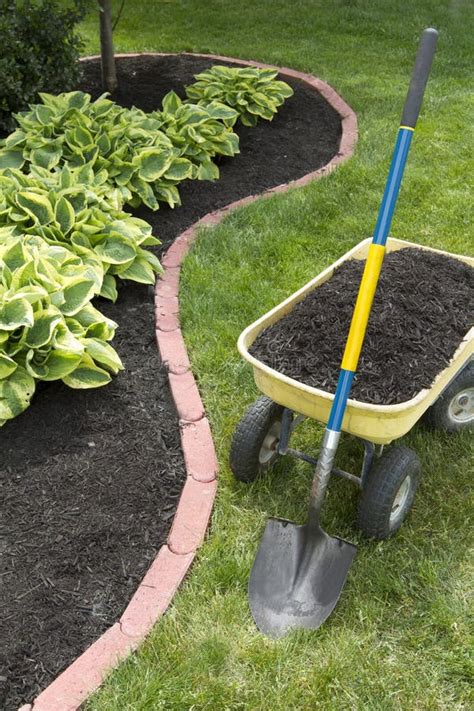 Mulch Bed with Edging stock image. Image of cultivate - 25178545