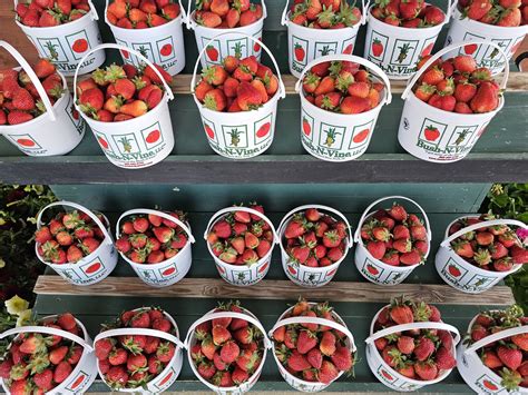 A Family Getaway to York County, South Carolina