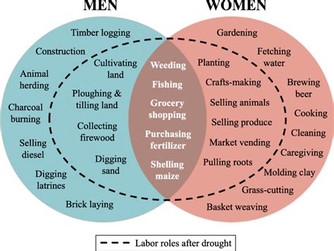 Gendered Division Of Labor Before And After Drought Download