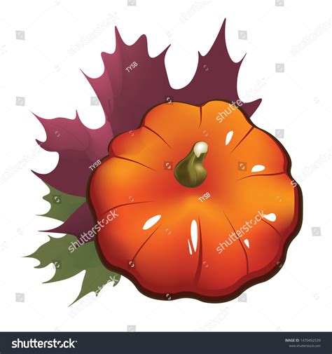 Top View Vector Single Pumpkin Vegetable Stock Vector Royalty Free